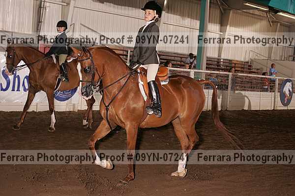 Proof 09yn-07241