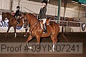 09yn-07241 proof