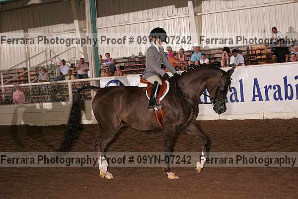 Proof 09yn-07242