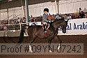 09yn-07242 proof
