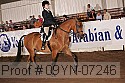 09yn-07246 proof
