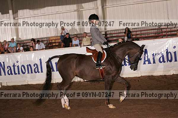 Proof 09yn-07247