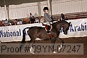 09yn-07247 proof