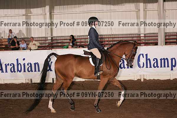 Proof 09yn-07250