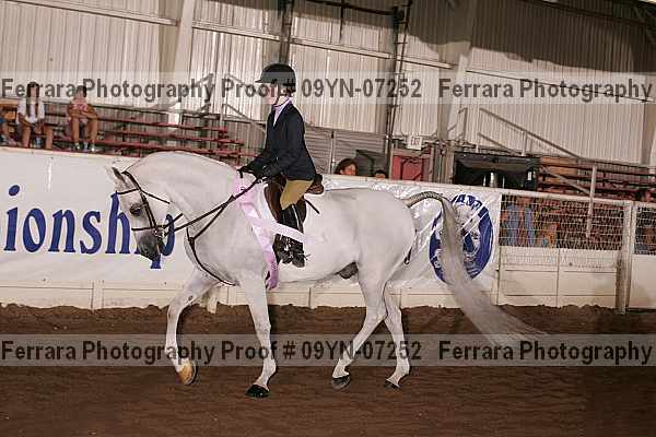 Proof 09yn-07252