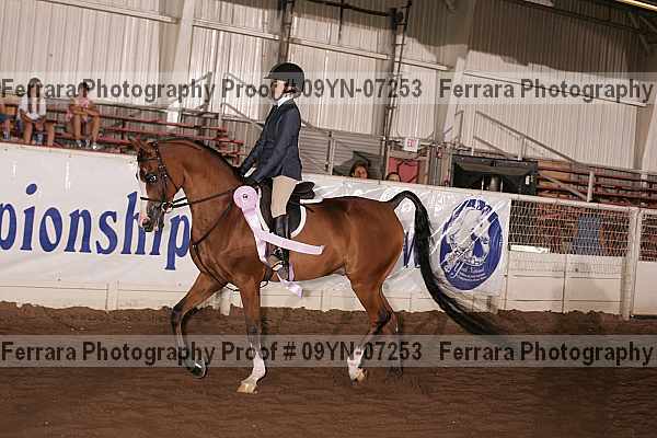Proof 09yn-07253
