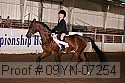09yn-07254 proof