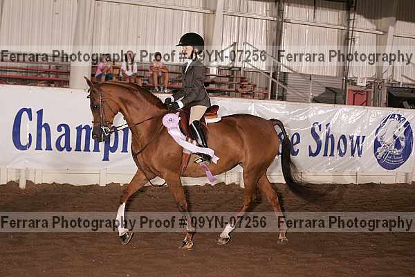 Proof 09yn-07256