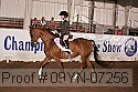 09yn-07256 proof