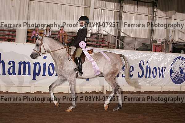 Proof 09yn-07257