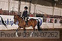 09yn-07262 proof