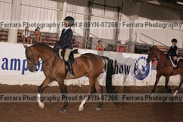 Proof 09yn-07266