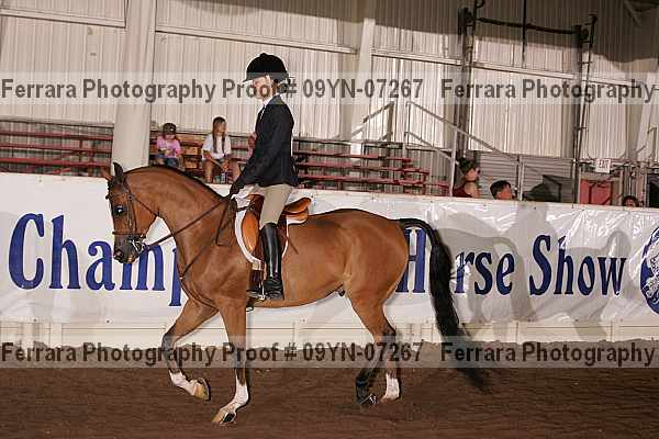 Proof 09yn-07267