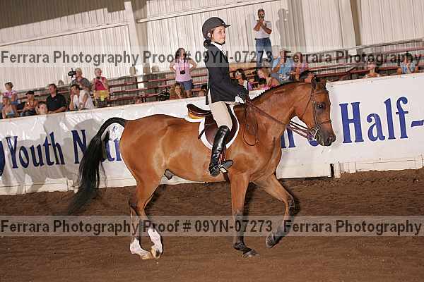 Proof 09yn-07273