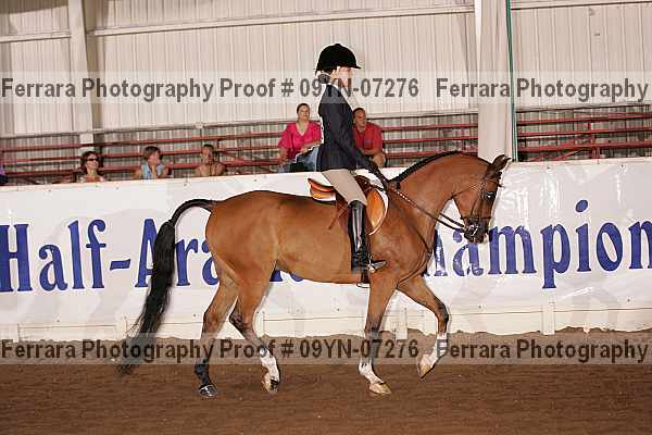 Proof 09yn-07276
