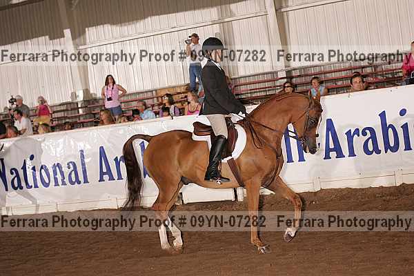Proof 09yn-07282