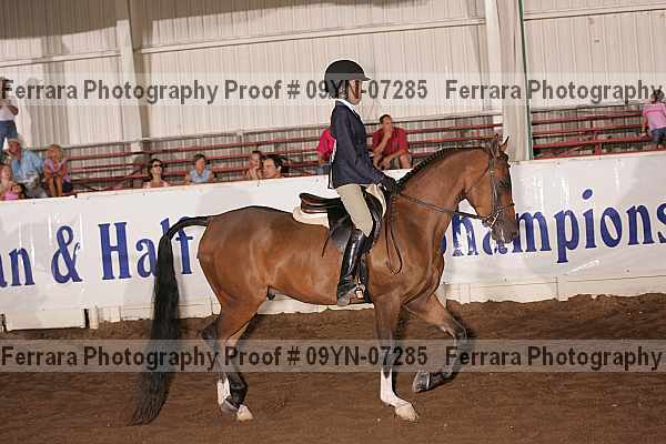 Proof 09yn-07285