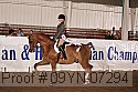09yn-07294 proof