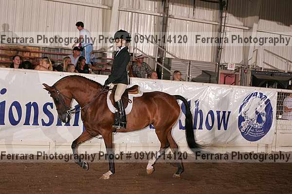 Proof 09yn-14120