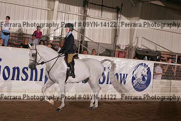 Proof 09yn-14122