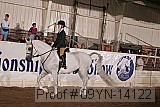 09yn-14122 proof