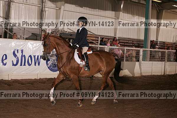 Proof 09yn-14123