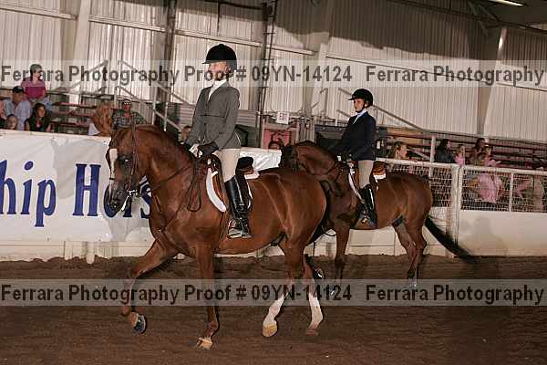 Proof 09yn-14124