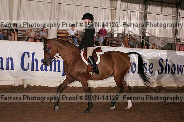 Proof 09yn-14125