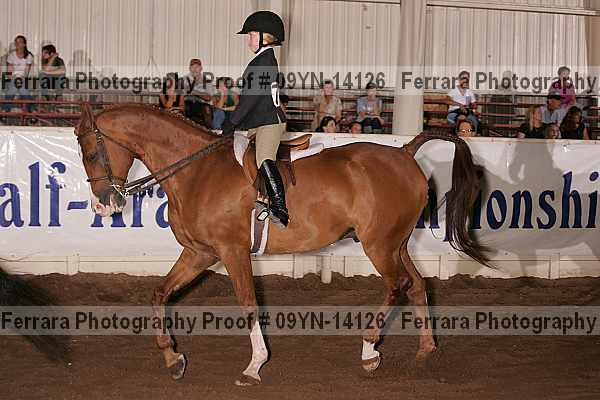 Proof 09yn-14126