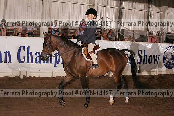 Proof 09yn-14127
