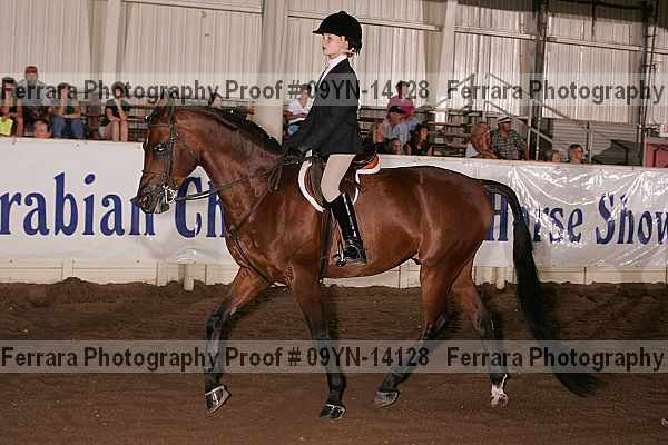 Proof 09yn-14128