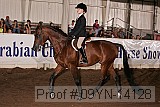 09yn-14128 proof