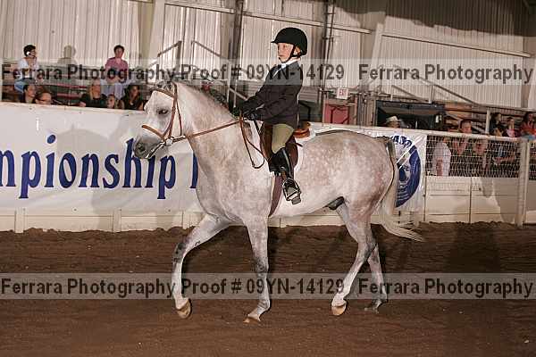 Proof 09yn-14129