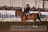 09yn-14130 proof