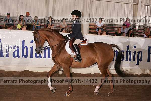 Proof 09yn-14132