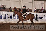 09yn-14133 proof