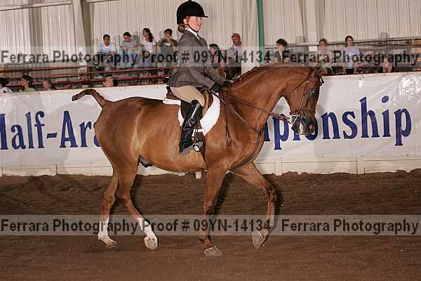 Proof 09yn-14134