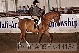 09yn-14134 proof