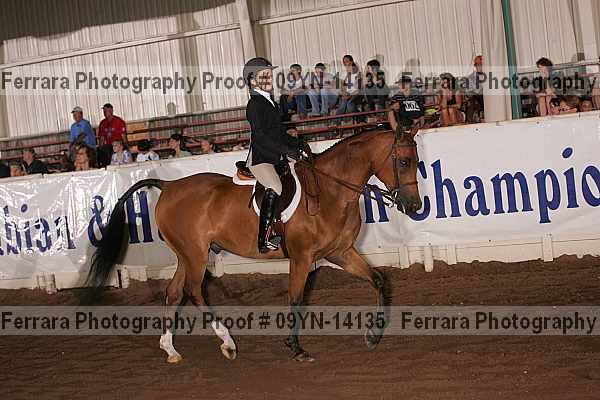 Proof 09yn-14135