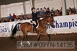 09yn-14135 proof