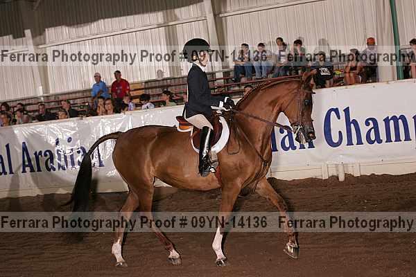 Proof 09yn-14136