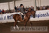 09yn-14137 proof