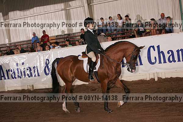 Proof 09yn-14138