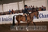 09yn-14139 proof