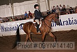 09yn-14140 proof