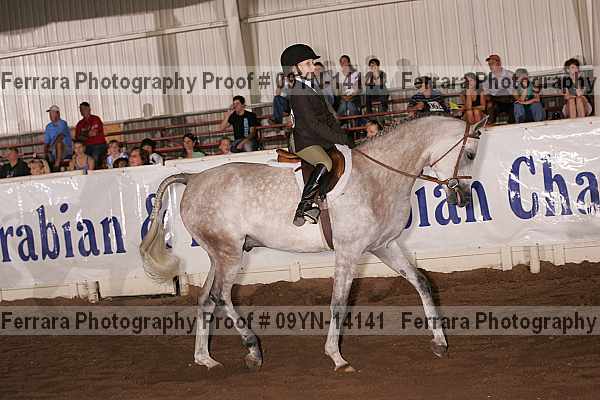 Proof 09yn-14141