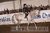 09yn-14141 proof