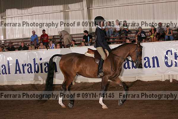 Proof 09yn-14145