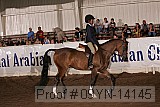 09yn-14145 proof
