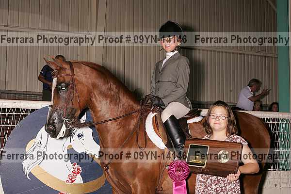 Proof 09yn-14146
